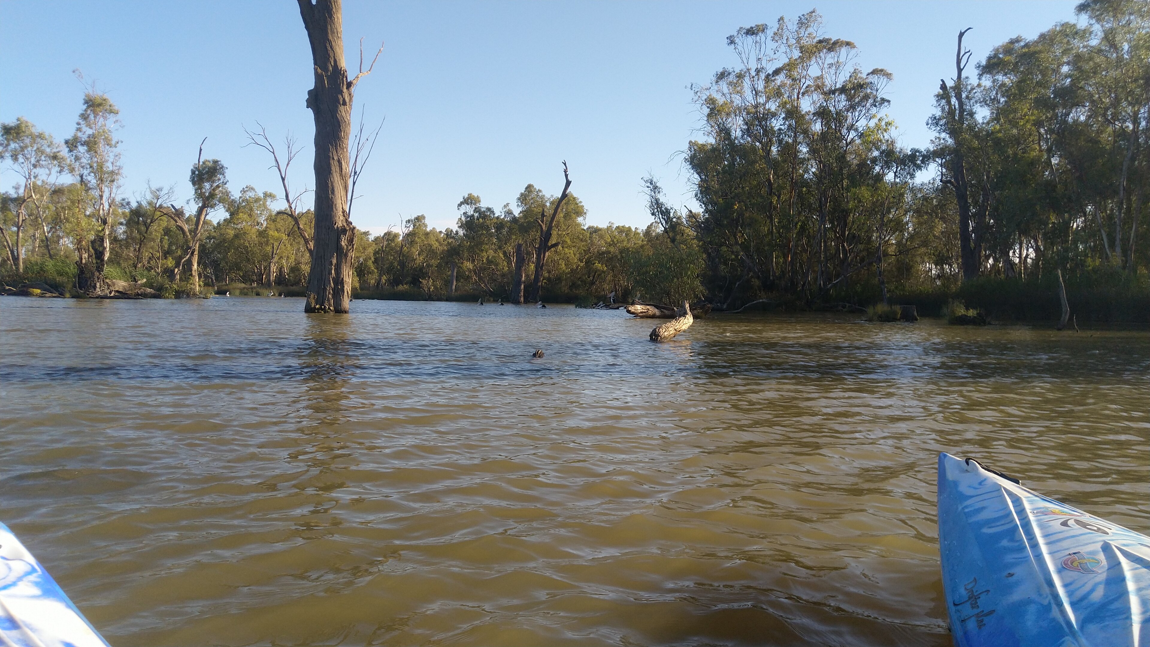 MOONTONGUE ECO-ADVENTURES (Mildura) - All You Need To Know BEFORE You Go