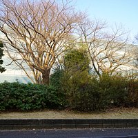 団地の風景