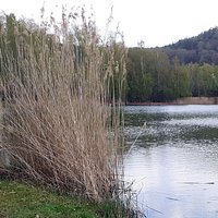 Silbersee in Landstuhl