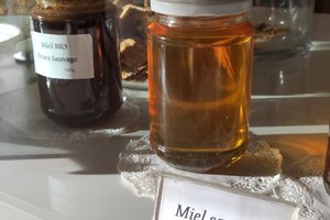 Minuman