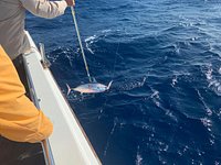 Jolly Rubino Wreck - Picture of Maverick Fishing Charters, St Lucia -  Tripadvisor