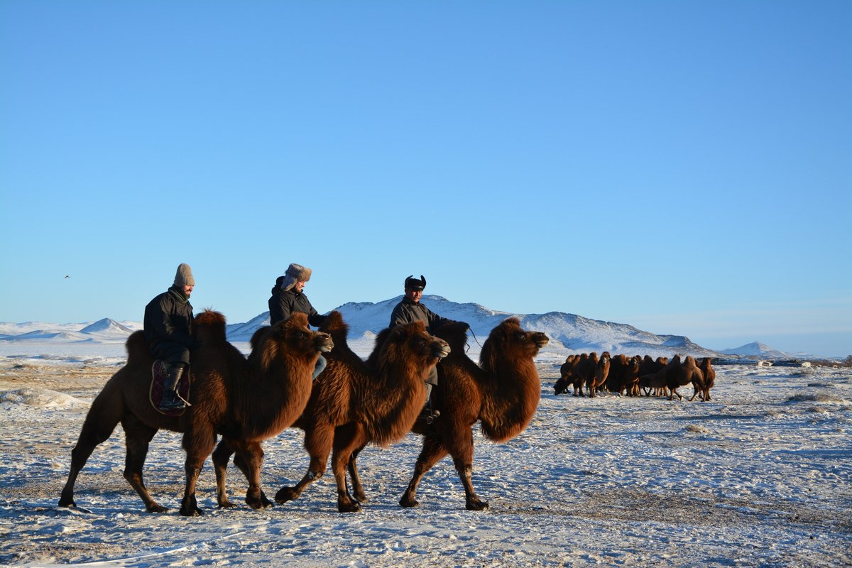 Mongolia Winter Tours (Ulaanbaatar): Hours, Address, - Tripadvisor