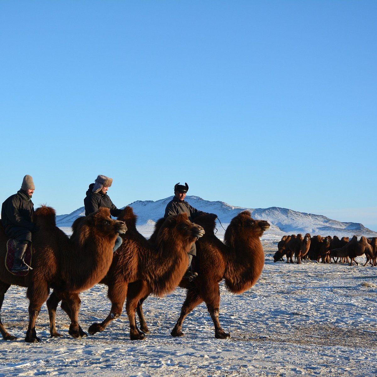 mongolia winter tours