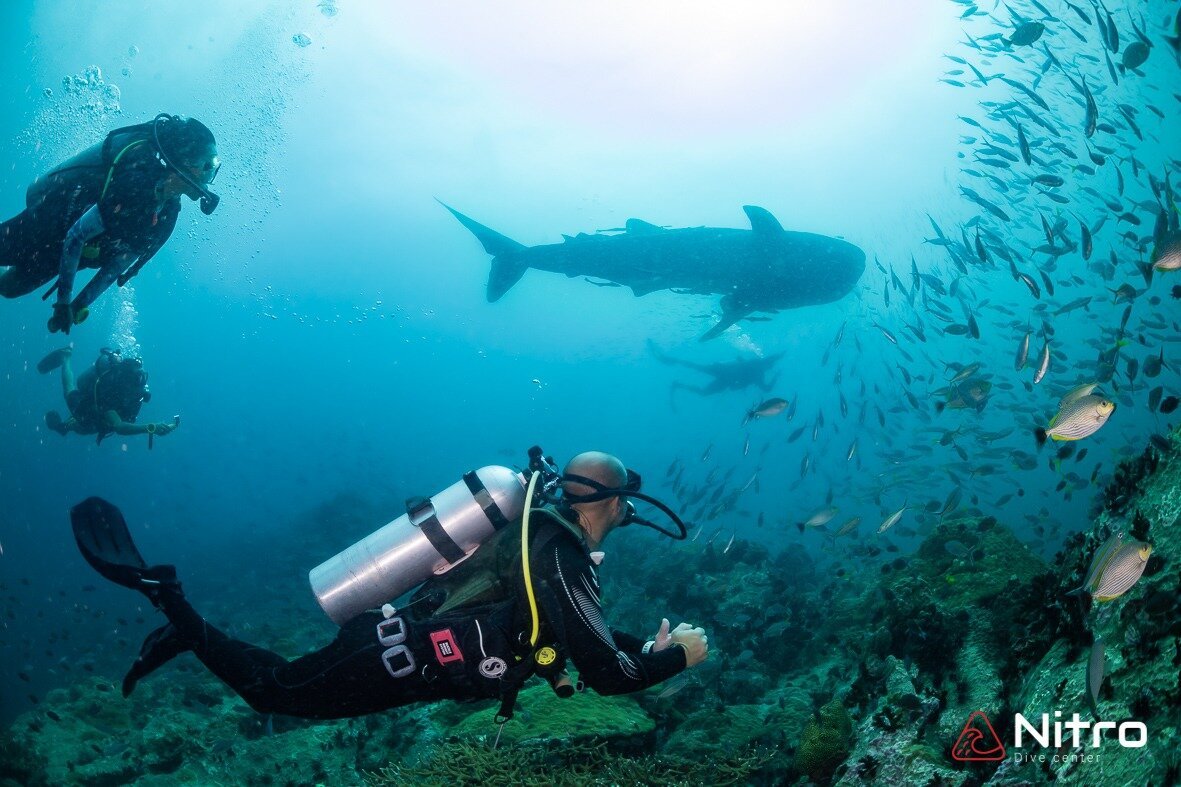 www.tripadvisor.com