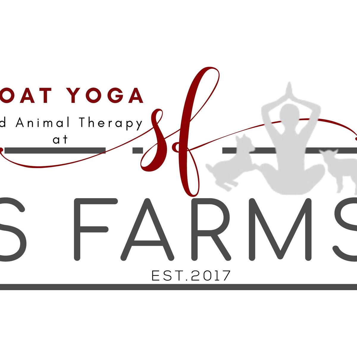 goat-yoga-at-s-farms-dade-city-tutto-quello-che-c-da-sapere