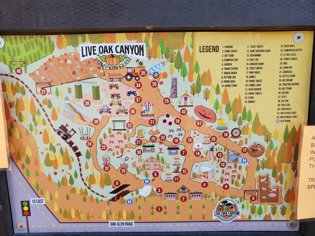 live oak canyon pumpkin patch dog friendly