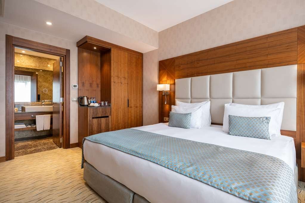 Hotel photo 104 of Clarion Hotel Istanbul Mahmutbey.