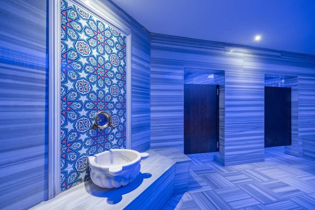 Hotel photo 84 of Clarion Hotel Istanbul Mahmutbey.