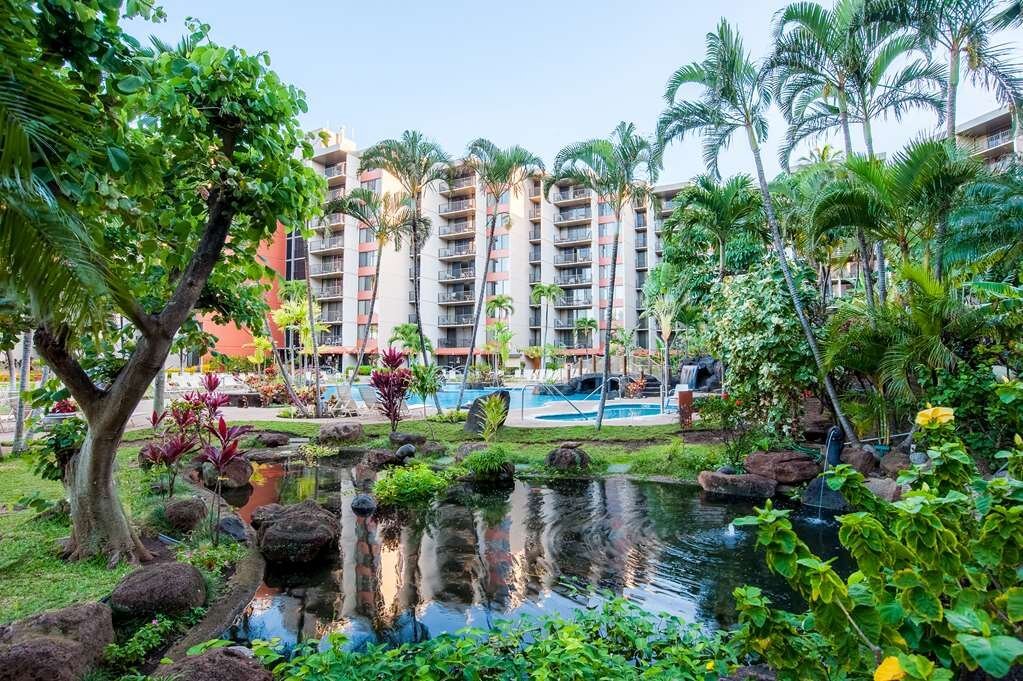 aston kaanapali shores hotel maui