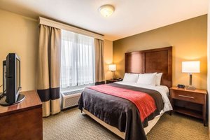 Room & Suite