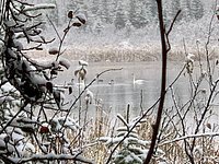 Edmonton Playgrounds - Kerry Wood Nature Centre