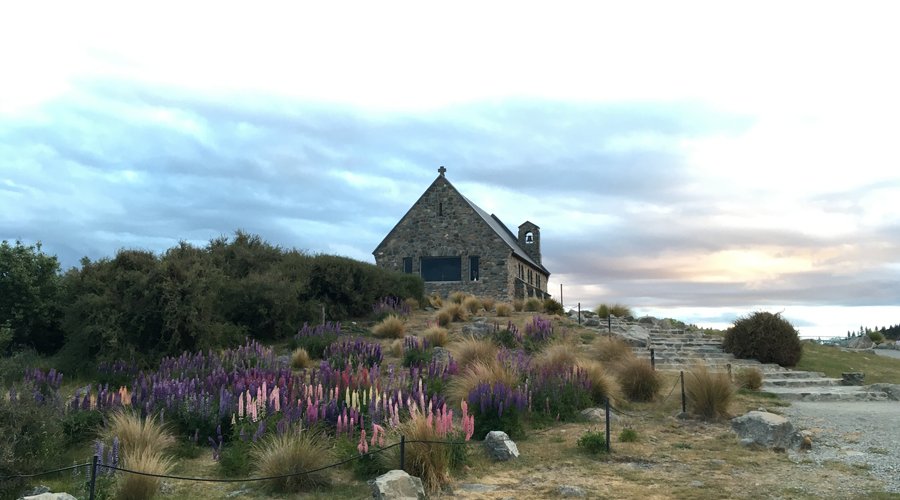 Lupins and the little church at the end of the road