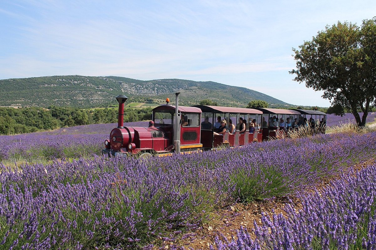 Ardeche; bezienswaardigheden en activiteiten - Reisliefde