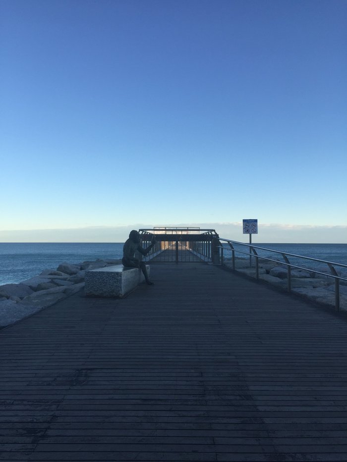 Imagen 6 de Pont del Petroli
