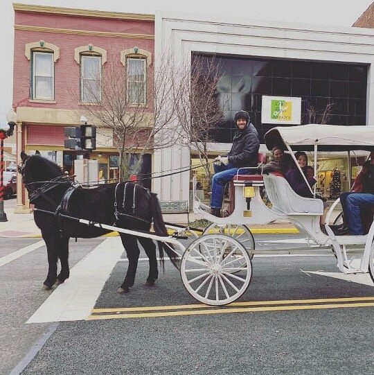 Heritage Horse & Carriage Co. image