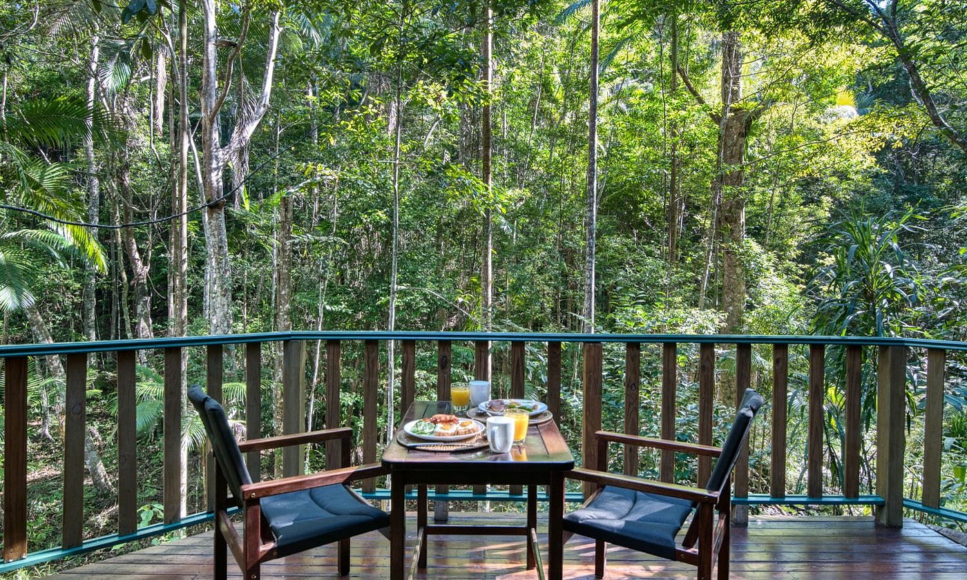 Narrows Escape Rainforest Retreat 2023 Prices And Reviews Montville Photos Of Hotel Tripadvisor 6166