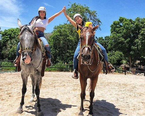 Horseback Riding and Cenote Swim from Cancun or Playa del Carmen