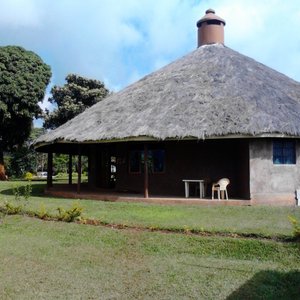 Kilimo Talii
