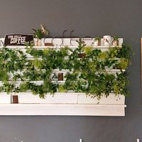 The Bunny Hop Haven