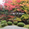 four_season_traveller