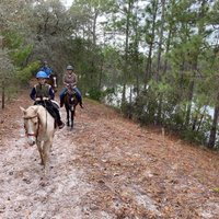 Florida Agricultural Museum (Palm Coast) - All You Need to Know BEFORE ...