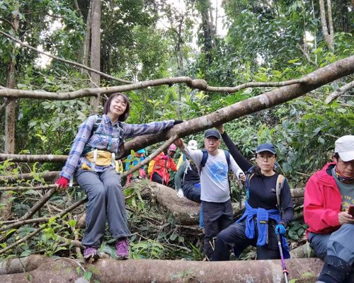 Xishuangbanna Tropical Nature reserve