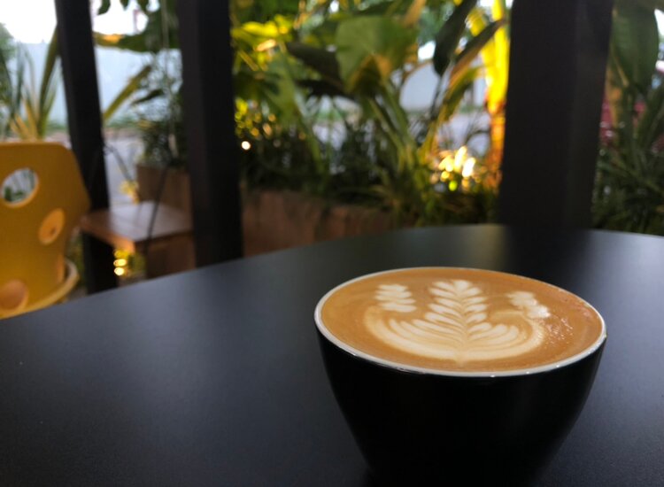 THE 10 BEST Caf s in Santa Cruz Updated 2024 Tripadvisor