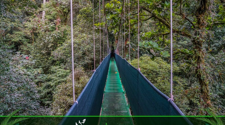 Hanging Bridge / Puente Colgante