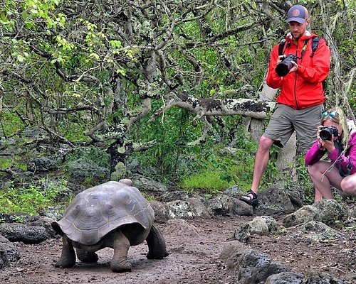 eco tourism in galapagos