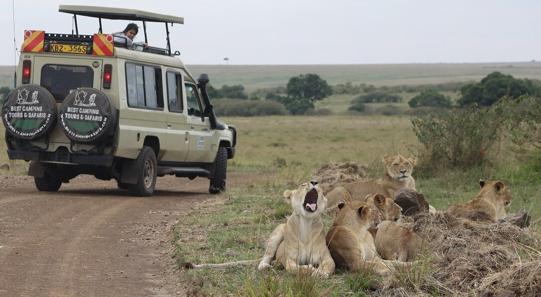 Best Camping Tours & Safaris