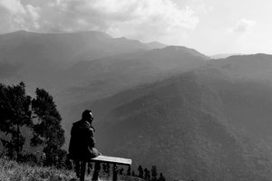 Traveller