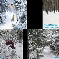 We found the lightpost near the start of the Cheat Mountain Ridge trail. Snow was all over the trees and some drifts were more than knee deep.