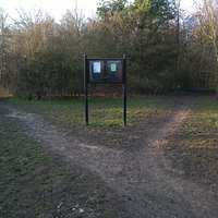 Views around Orchid Wood