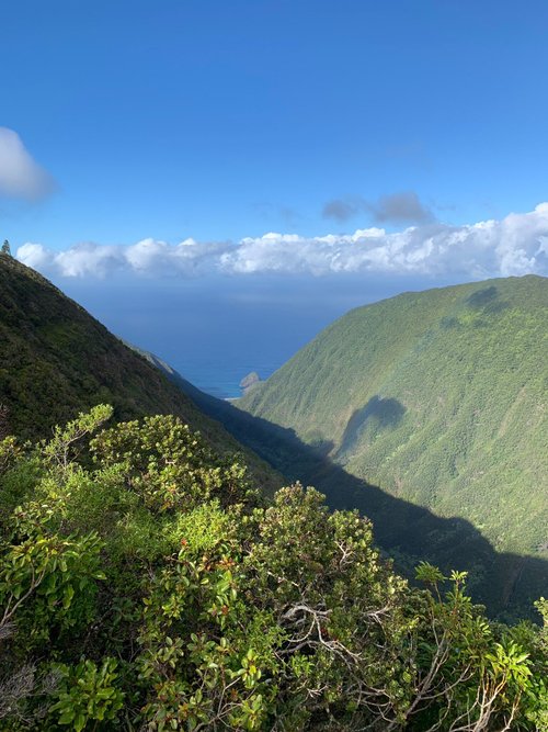 Molokai review images