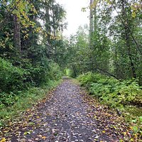 The trail to the waterfall is an easy, quick walk