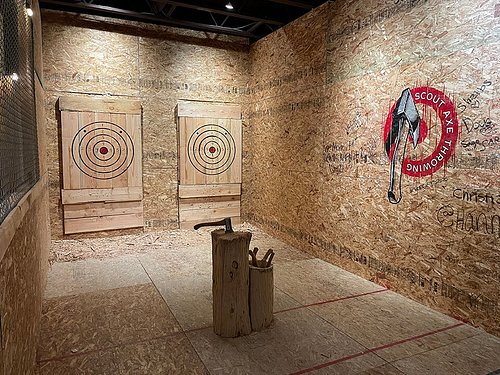 https://dynamic-media-cdn.tripadvisor.com/media/photo-o/1c/80/c0/4e/axe-throwing-cage-in.jpg?w=500&h=-1&s=1