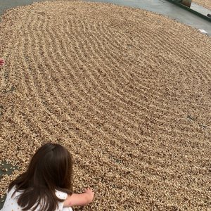 21年 ハワイ島で絶対外さないおすすめ観光スポットトップ10 定番から穴場まで トリップアドバイザー
