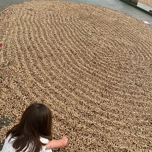 21年 ハワイ島で絶対外さないおすすめ観光スポットトップ10 定番から穴場まで トリップアドバイザー 21年 ハワイ島で絶対外さないおすすめ観光スポットトップ10 定番から穴場まで トリップアドバイザー