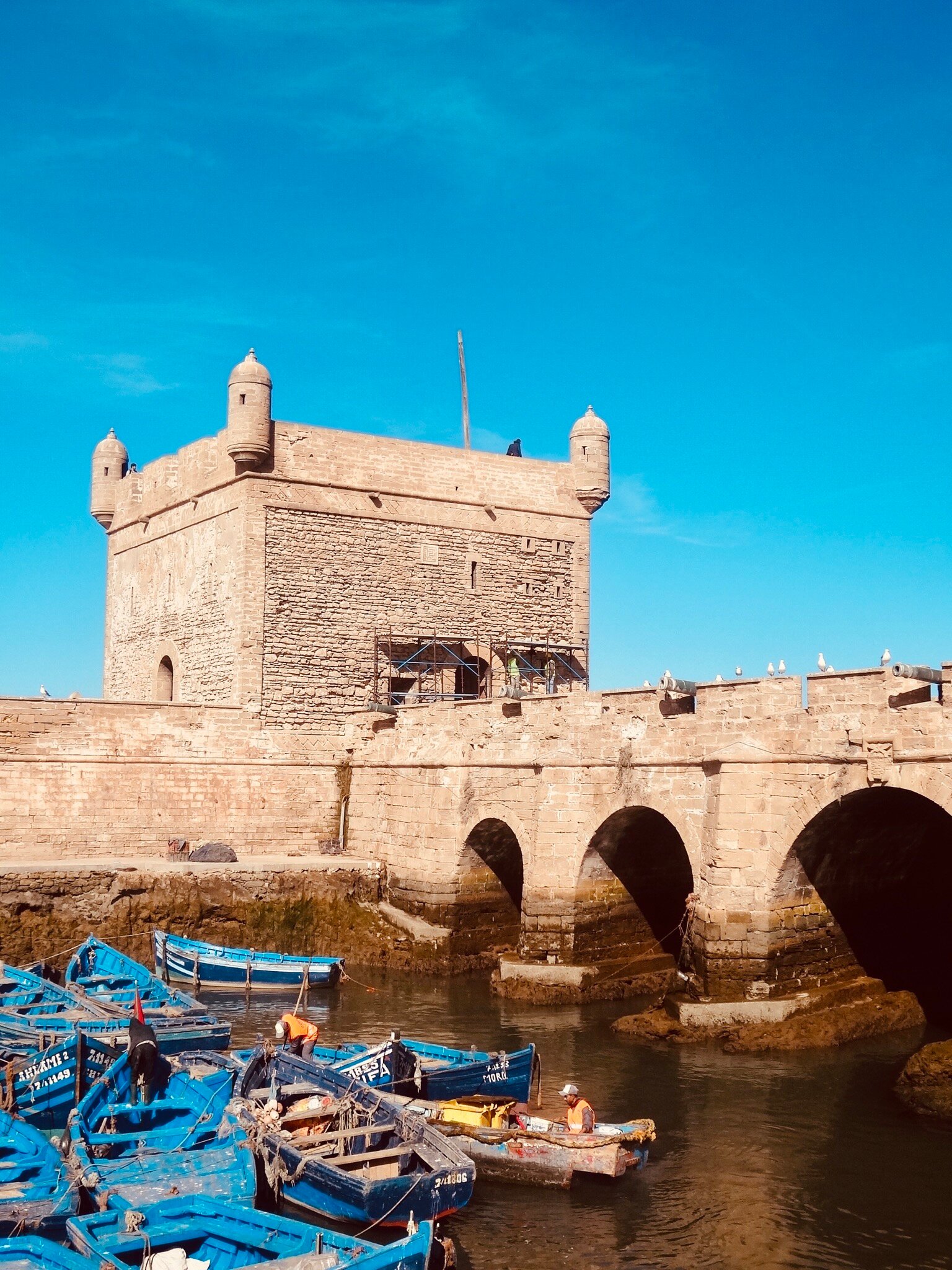 SKALA DU PORT (Essaouira): Ce Qu'il Faut Savoir Pour Votre Visite