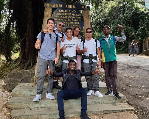 amazing kilimanjaro tours