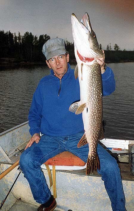 Doesn't take long to get a stringer of Northern Pike for take home! -  Picture of Cobham River Lodge - Tripadvisor
