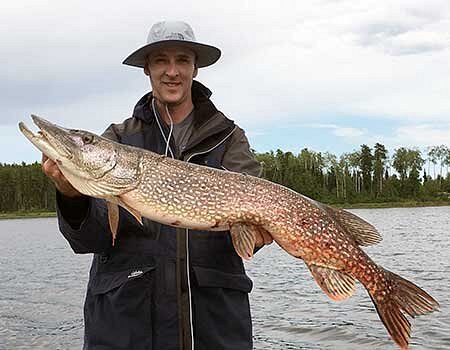 Doesn't take long to get a stringer of Northern Pike for take home! -  Picture of Cobham River Lodge - Tripadvisor