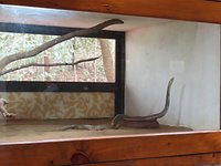 Bondla Wildlife Sanctuary (Goa) - All You Need to Know BEFORE You Go Bondla Wildlife Sanctuary (Goa) - All You Need to Know BEFORE You Go