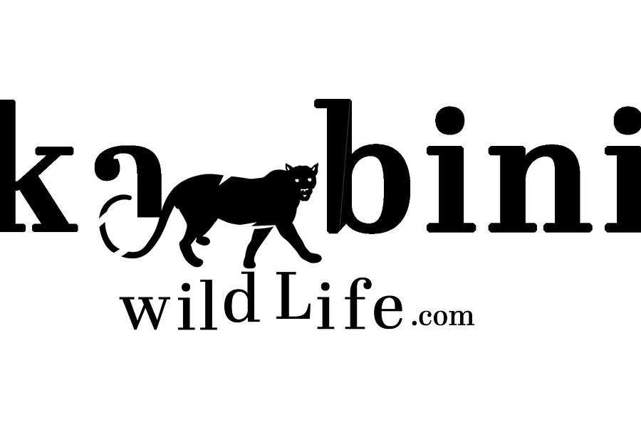 wildlife safari karnataka