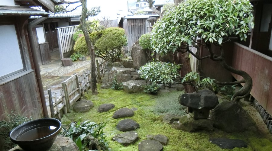庭