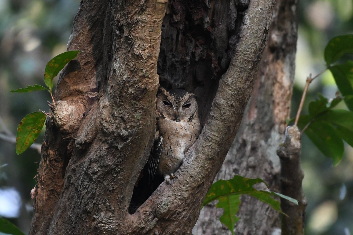 garva agro tourism and birding