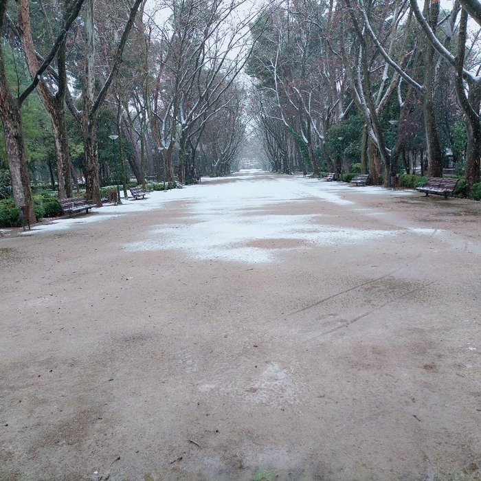 Imagen 7 de Parque de Abelardo Sánchez