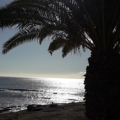 Imagen 4 de Playa de Los Cristianos