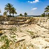 What to do and see in Megiddo, Northern District: The Best Tours