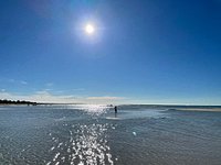 Rosebud Beach — Accessible Beaches Australia